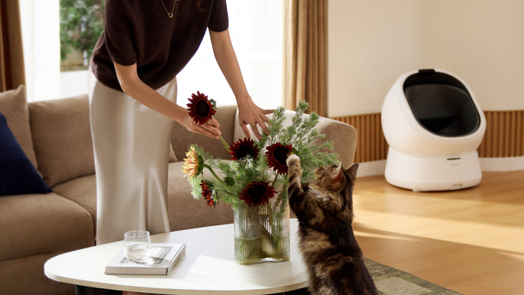 Petlibro automatic self-cleaning cat litter box in white with a cat and woman arranging flowers in a living room setting