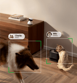 Petlibro PETLIBRO pet fountain with cat drinking; pet camera tracks dog motion, cat automatic feeder smart home scene