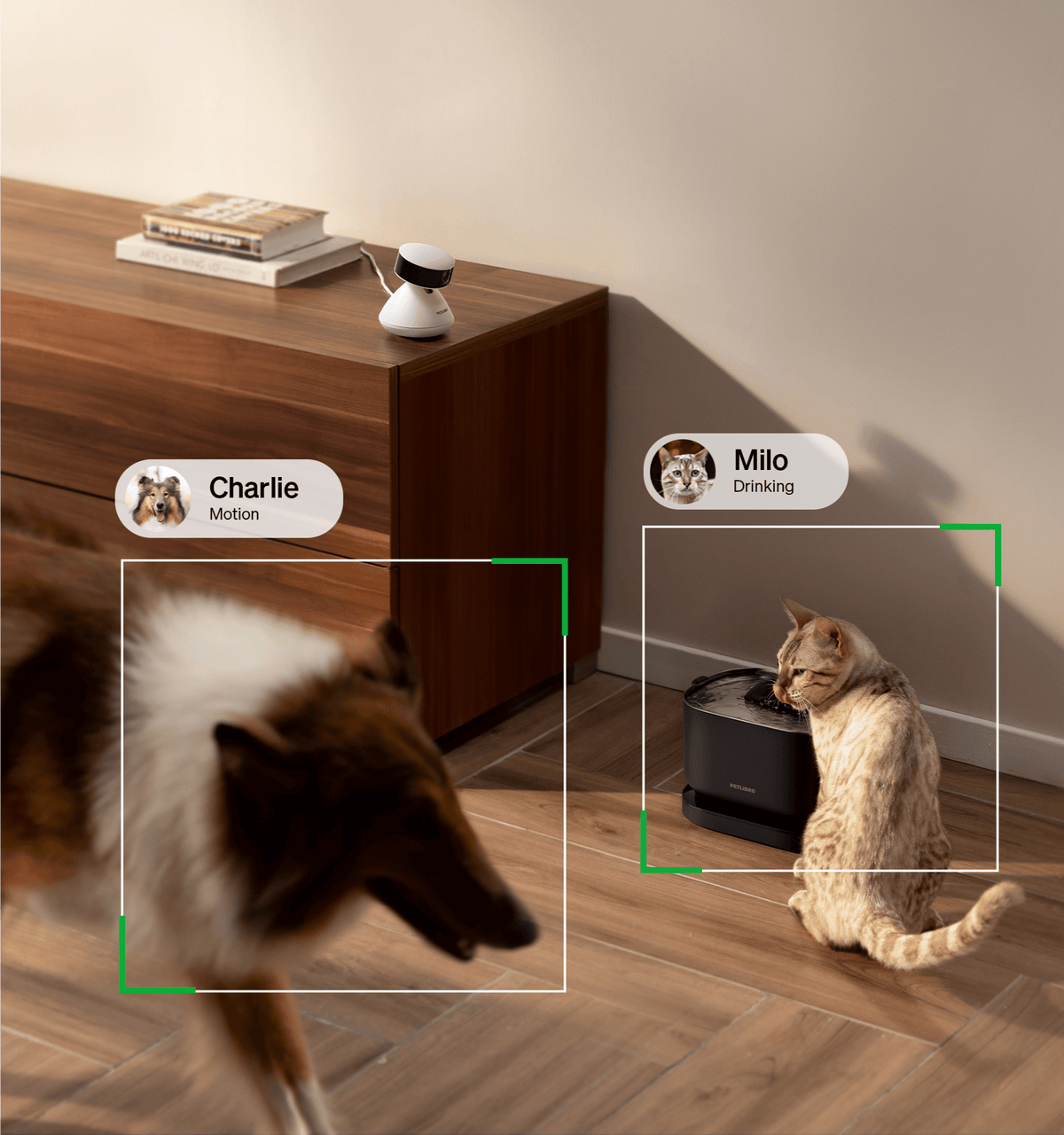 Petlibro PETLIBRO pet fountain with cat drinking; pet camera tracks dog motion, cat automatic feeder smart home scene
