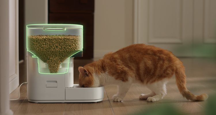 Petlibro pet feeder for multiple cats, rfid cat feeder; orange cat eats; smart cat feeder with camera, cat feeder portion control, reliable wifi cat feeder; petlibro vs petkit best automatic cat feeder reddit how to know if my cat ate feeder not dispensing