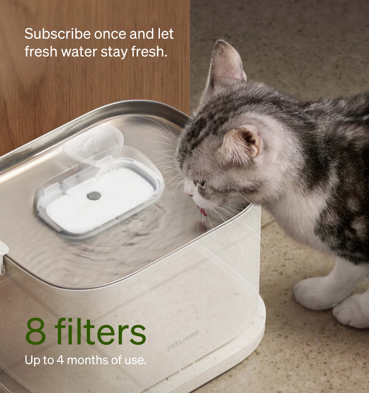 Petlibro cat water fountain with 8 filters; gray tabby drinking, fresh water subscription—reliable wifi cat feeder with camera, rfid cat feeder