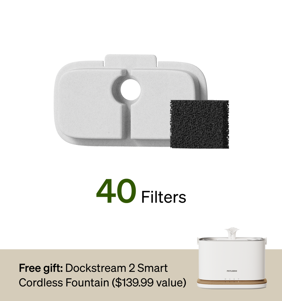 18-Month Filter & Free Fountain Combo