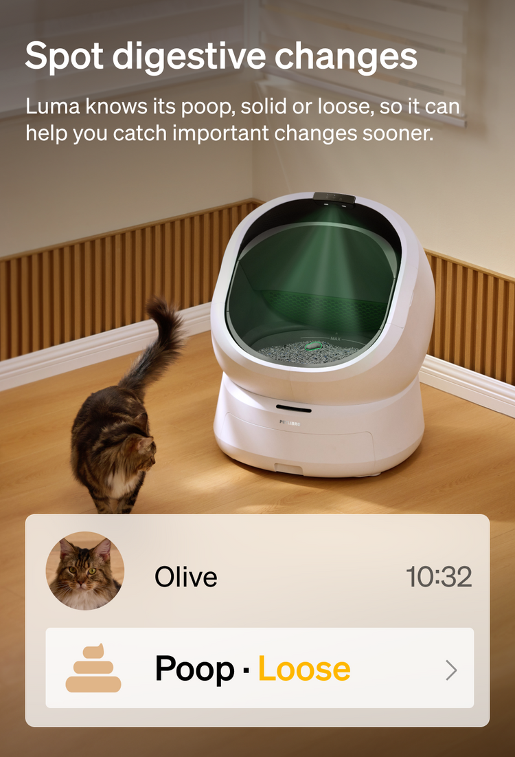 Petlibro Petlibro Luma、Petlibro Luma odor control luma smart litter box automatic self cleaning litter box with cat nearby, app alert screen