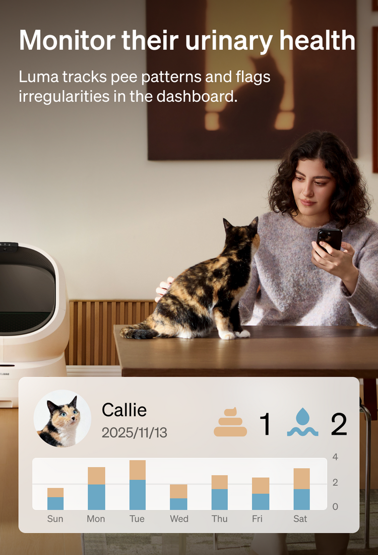 Petlibro Petlibro Luma odor control luma smart litter box; woman checks app by cat; automatic self cleaning litter box deodorizer.