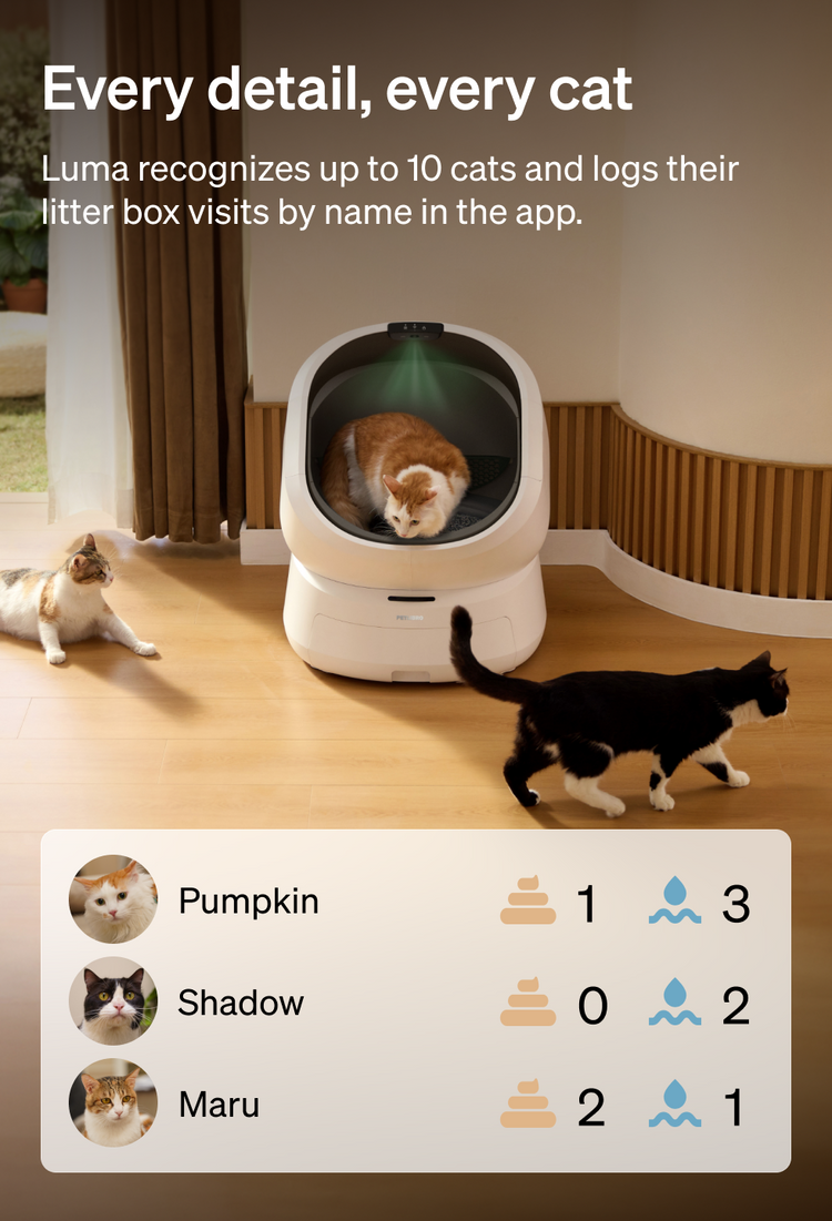 Petlibro Petlibro Luma、Petlibro Luma odor control luma smart litter box, white automatic self cleaning cat litter box with cats and app log.