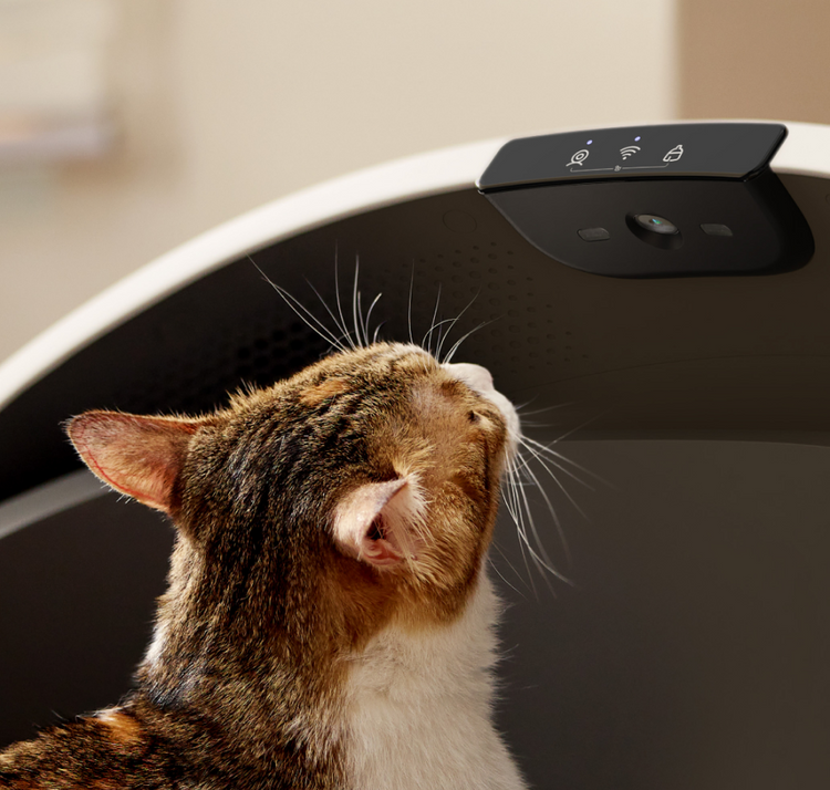 Petlibro Petlibro Luma odor control luma smart litter box, cat sniffing black automatic self cleaning litter box lid with icons, litter box deodorizer