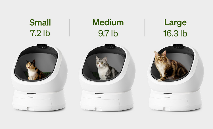 Petlibro Petlibro Luma odor control luma smart litter box, white automatic self cleaning litter box shown with small, medium, large cats