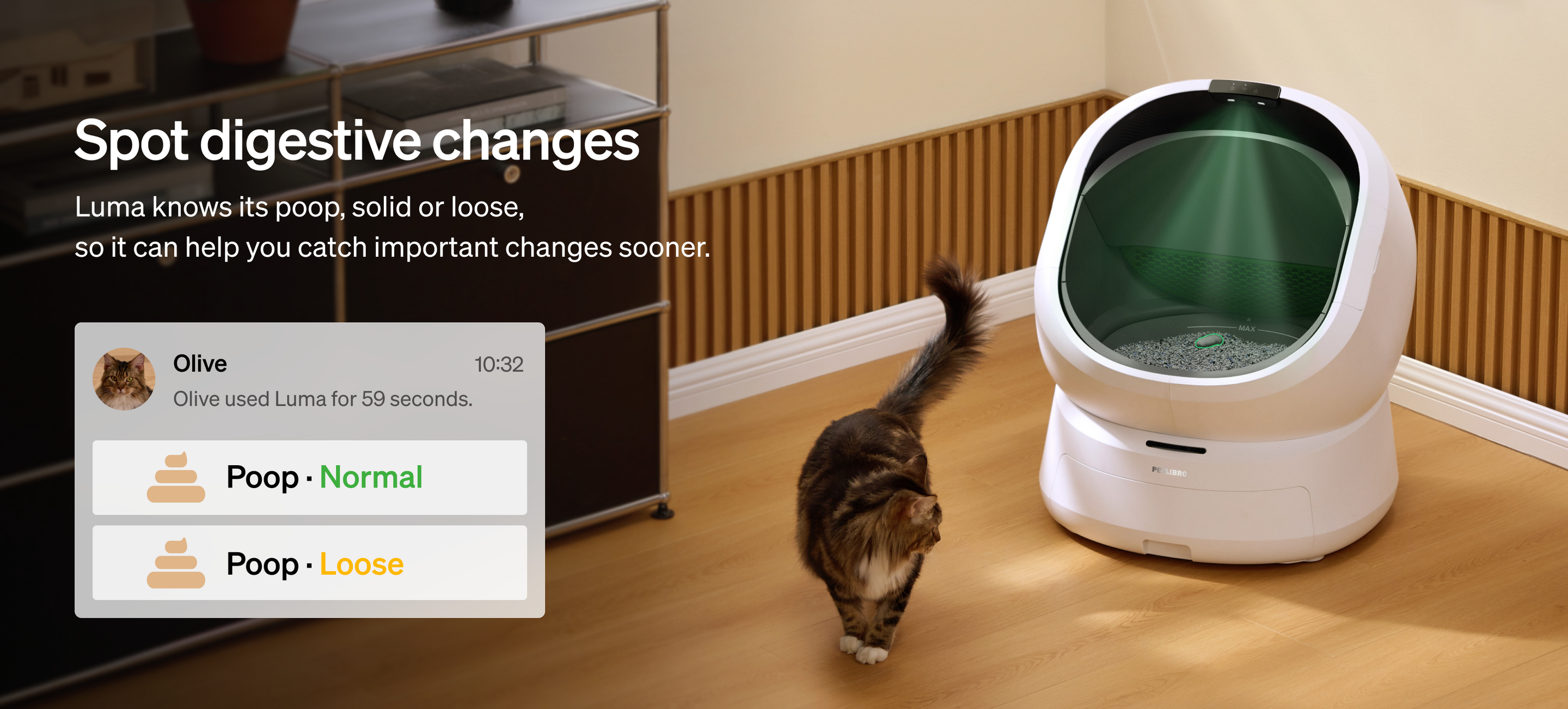 Petlibro Luma、Petlibro Luma odor control luma smart litter box, white automatic self cleaning cat litter box with tabby cat nearby