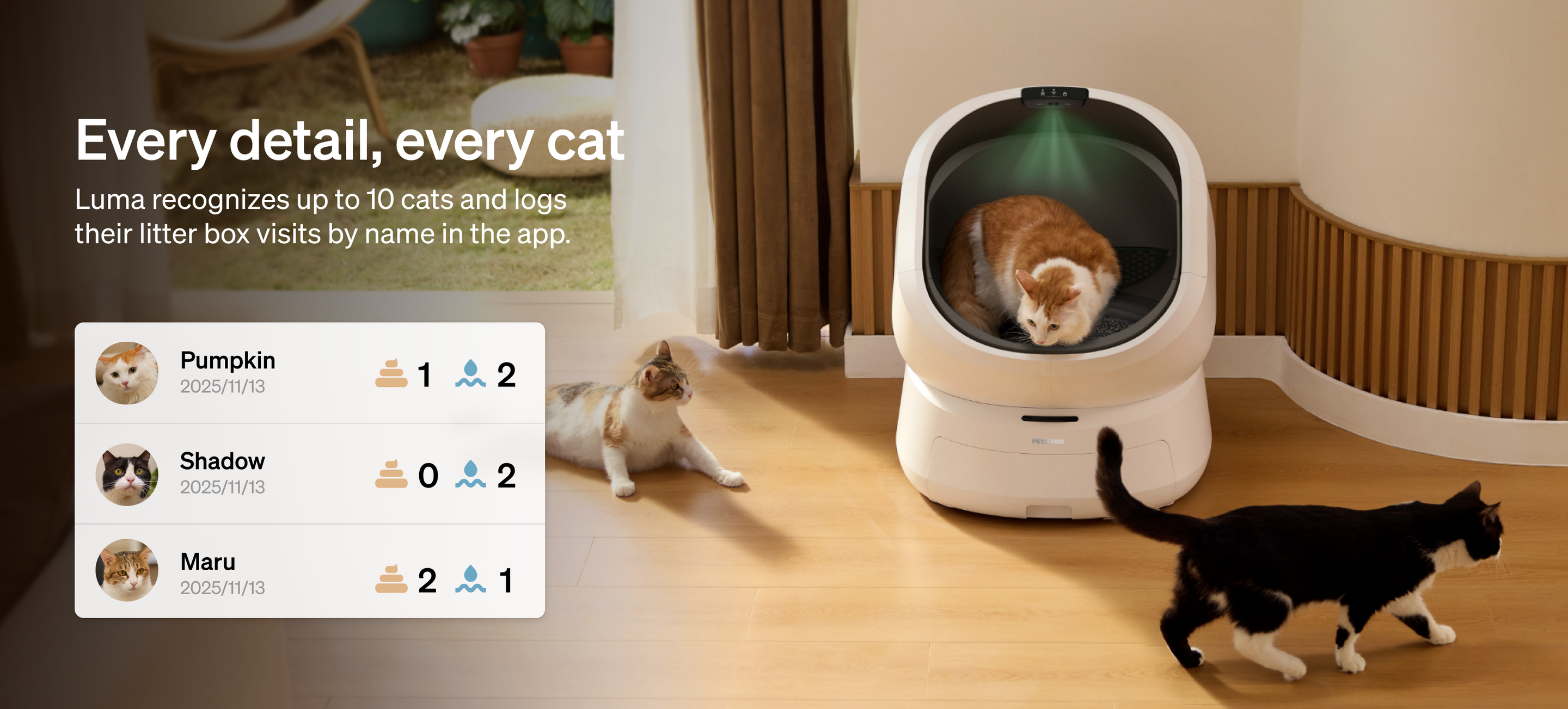 Petlibro Petlibro Luma odor control luma smart litter box, white automatic self cleaning cat litter box with cats nearby, litter box deodorizer