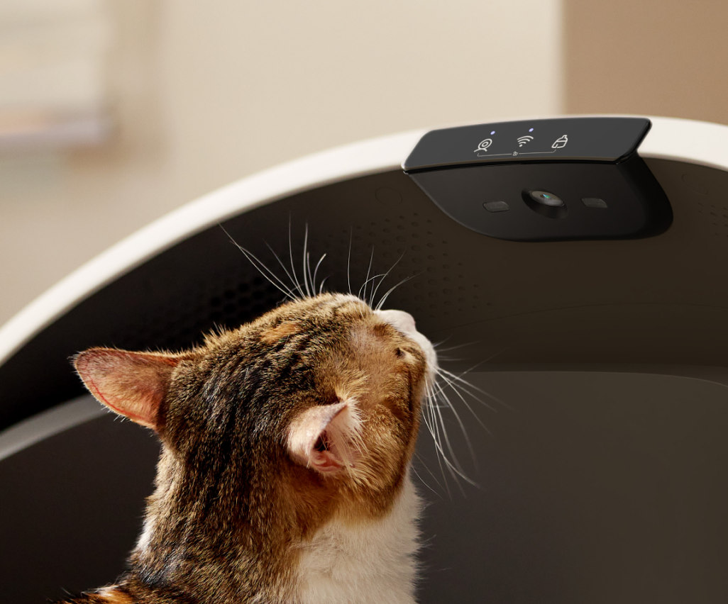 Petlibro Petlibro Luma odor control luma smart litter box, cat looking up at black sensor panel on petlibro litter box rim