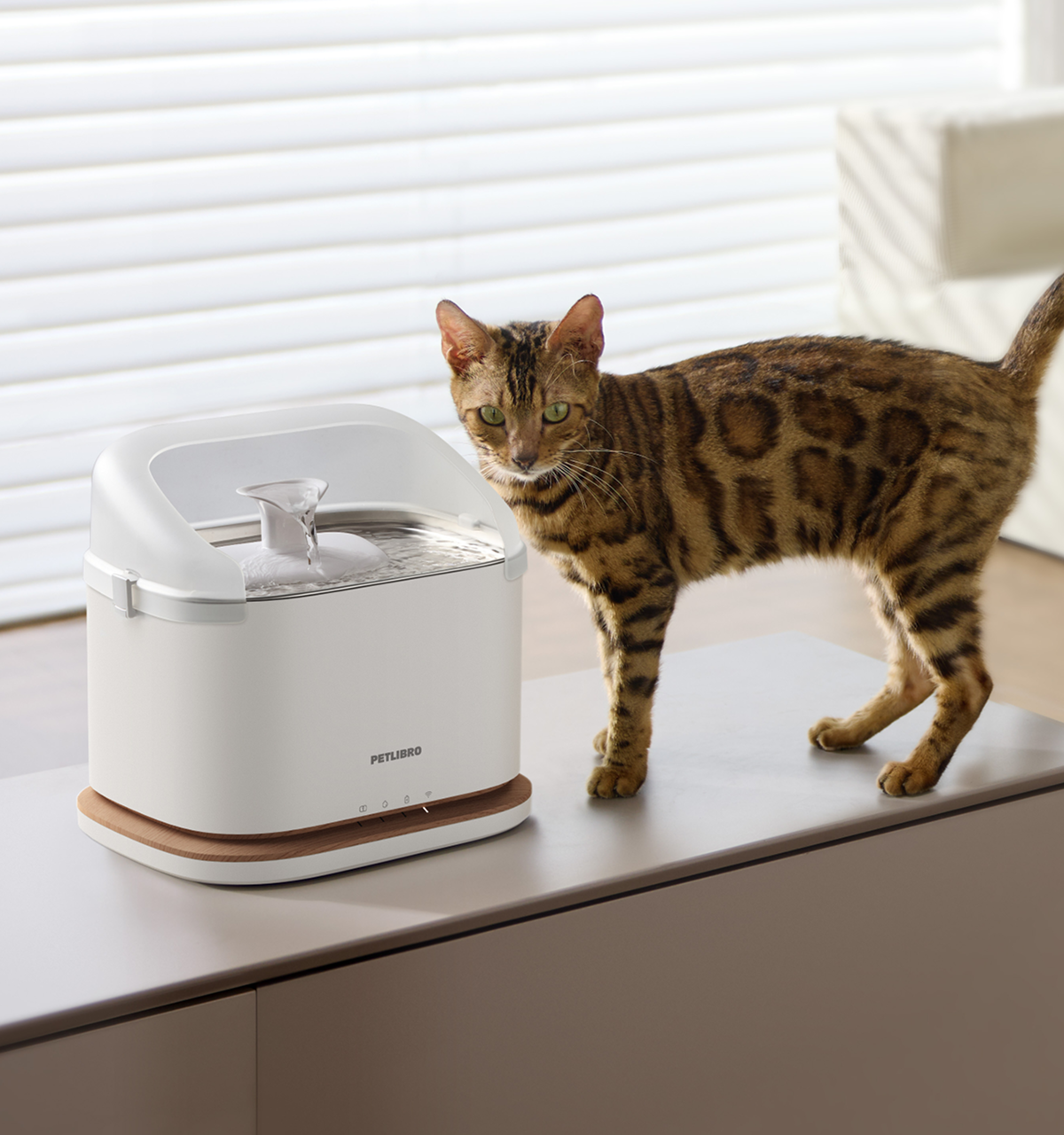 Dockstream 2 Splash Shield for Cat Water Fountain | PETLIBRO