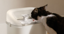 Dockstream 2 Splash Shield - PETLIBRO