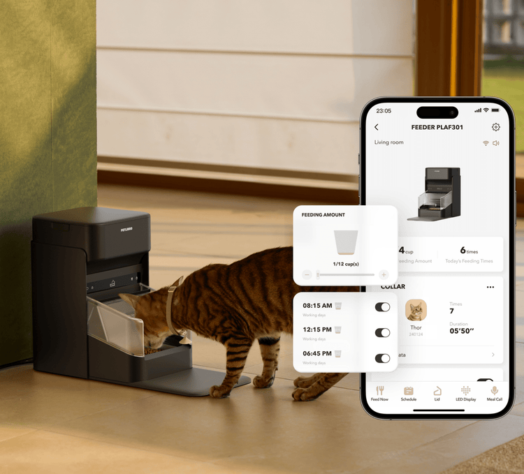Petlibro automatic black pet feeder dispensing food to a cat with a smartphone app interface showing feeding schedule and portion control