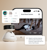 Petlibro PETLIBRO Scout smart camera app watching cat play; pet fountain, cat automatic feeder; Petlibro Luma odor control luma smart litter box automatic self cleaning litter box deodorizer best litter box for odor control