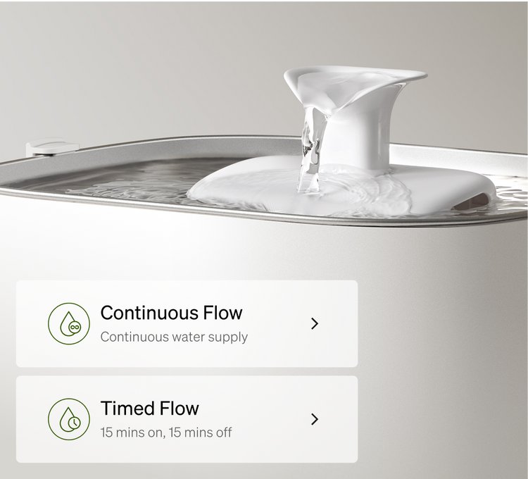 Petlibro PETLIBRO pet water fountain with flowing spout; on-screen options for continuous flow and timed flow for cat use