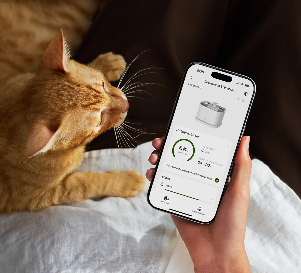 Petlibro PETLIBRO app shows pet fountain hydration stats on phone beside orange cat lounging on bed in living room