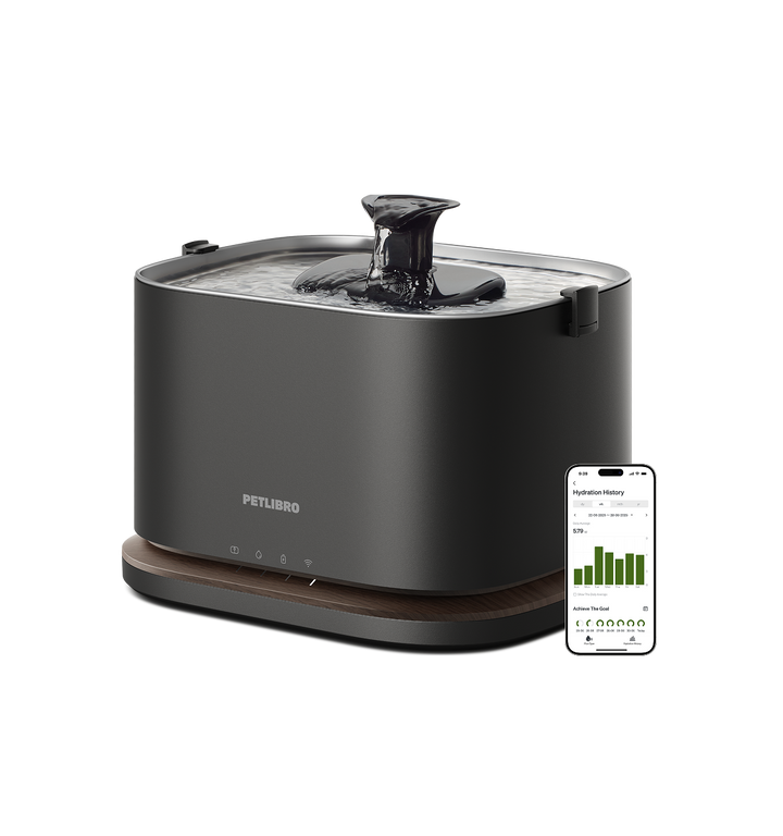 Dockstream 2 Smart Fountain