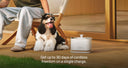 Petlibro pet feeder for multiple cats, rfid cat feeder with camera for portion control; reliable wifi, proof of feeding, petlibro vs petkit best automatic cat feeder reddit