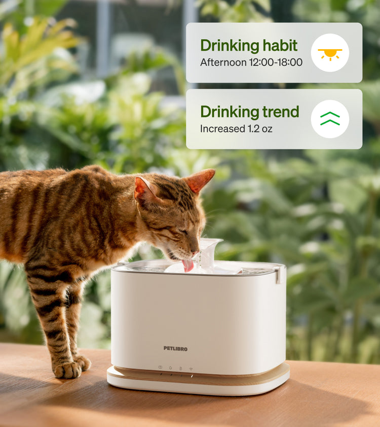 Petlibro Petlibro Luma、Petlibro Luma odor control luma smart litter box petlibro litter box automatic litter box self cleaning litter box litter box deodorizer