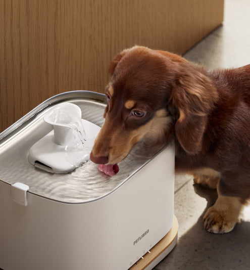Petlibro Luma odor control luma smart litter box automatic self cleaning cat litter box with litter box deodorizer, dog drinking nearby
