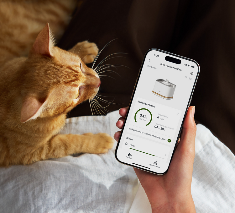 Petlibro PETLIBRO app on phone showing pet fountain stats beside orange cat lounging on bed, smart cat hydration tracking