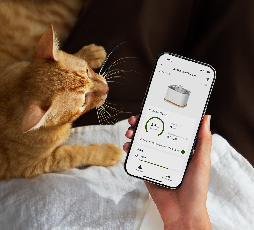 Petlibro PETLIBRO pet fountain app on phone beside orange cat, showing hydration history and water status tracking