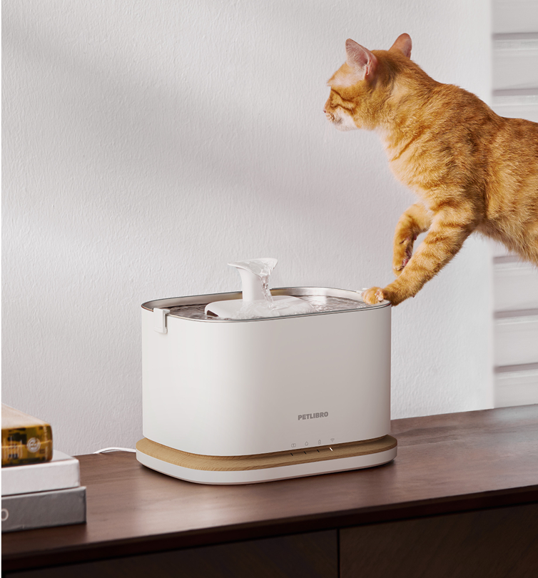 Petlibro PETLIBRO pet fountain, white rectangular cat water fountain with spout, orange tabby cat drinking on wooden table