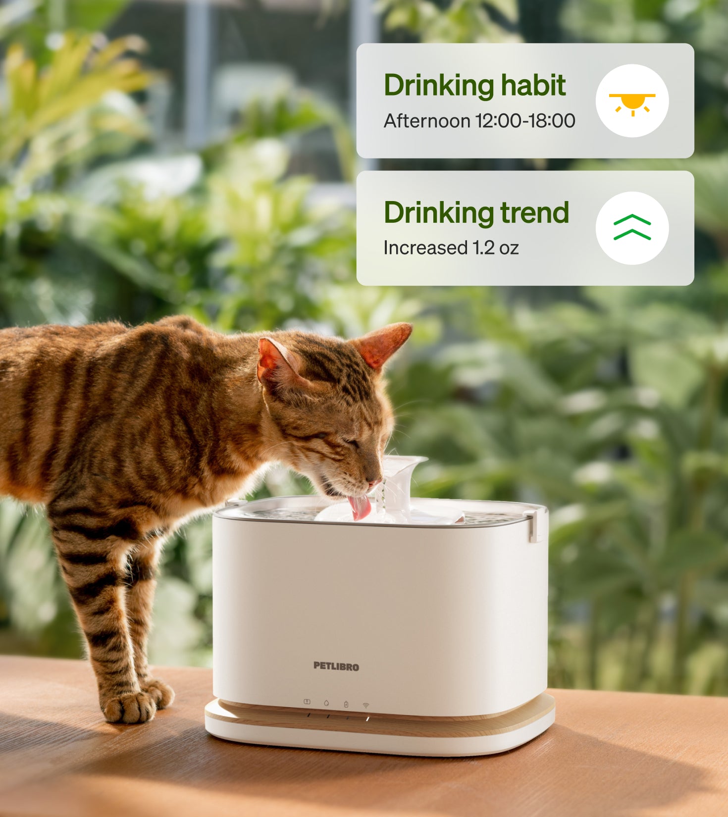 Petlibro Luma smart water fountain with tabby cat drinking; app shows drinking habit and trend, white Petlibro dispenser on table