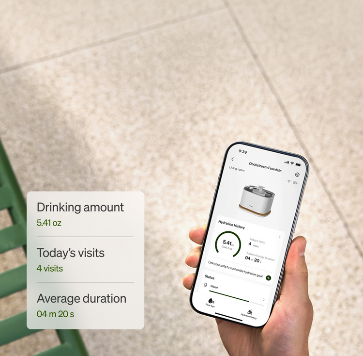 Petlibro PETLIBRO pet fountain app on phone showing cat drinking stats: 5.41 oz, 4 visits, 4m20s average duration
