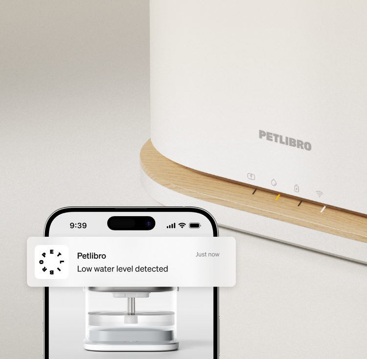 Petlibro PETLIBRO pet water fountain with app alert on phone; not a cat litter box, shows low water level notification for cat care