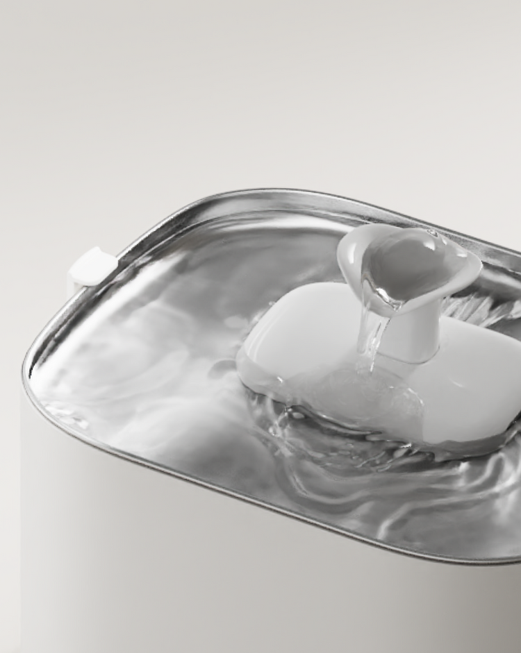 Petlibro PETLIBRO pet fountain close-up, white cat water fountain spout pouring into clear rippling bowl on gray background