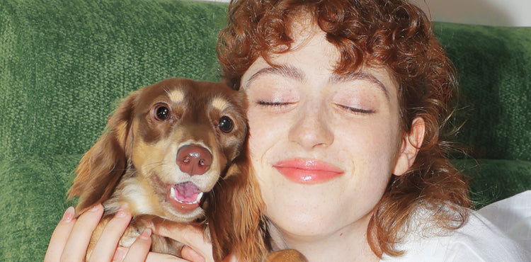 Petlibro Blog Guide Comparison PDP close-up of person hugging a brown dog on green couch, eyes closed, dog smiling at camera