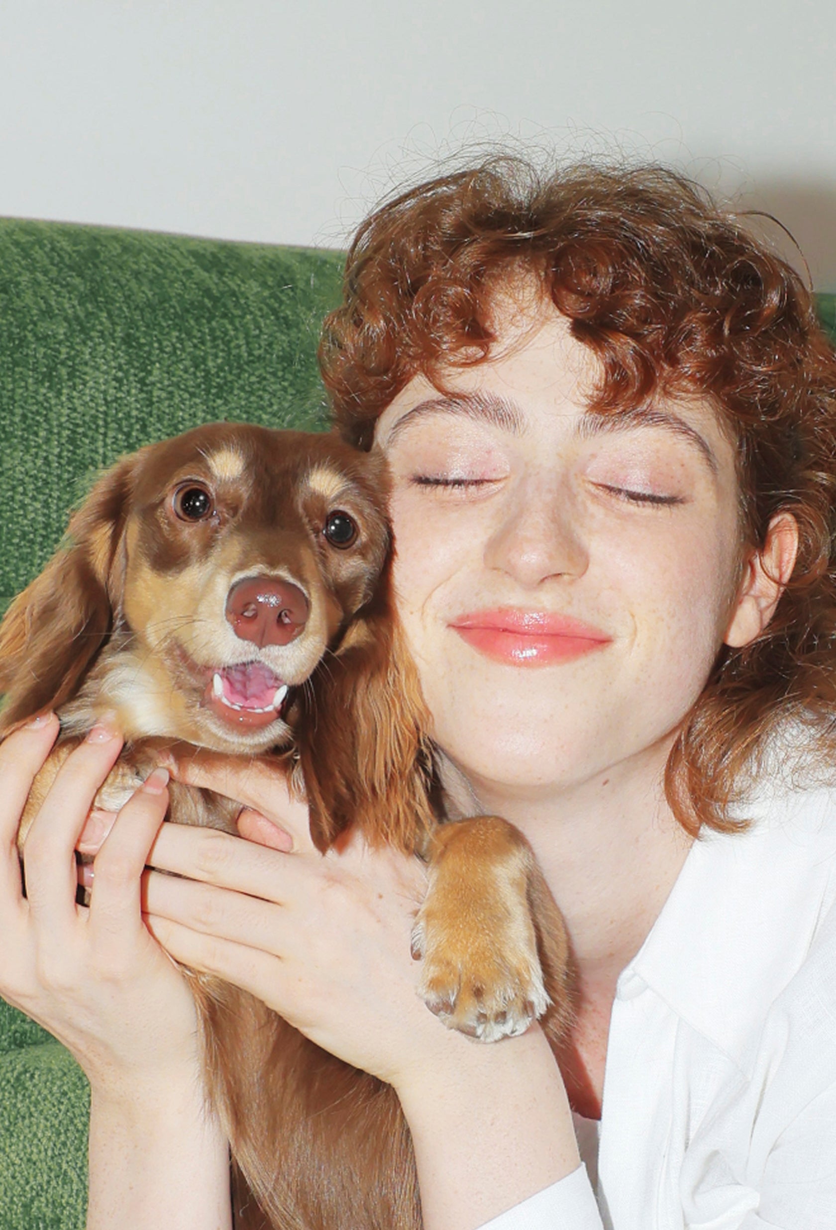 Petlibro Blog Guide Comparison PDP: woman hugs brown dog on green couch; smart cat feeder with camera, rfid cat feeder tips