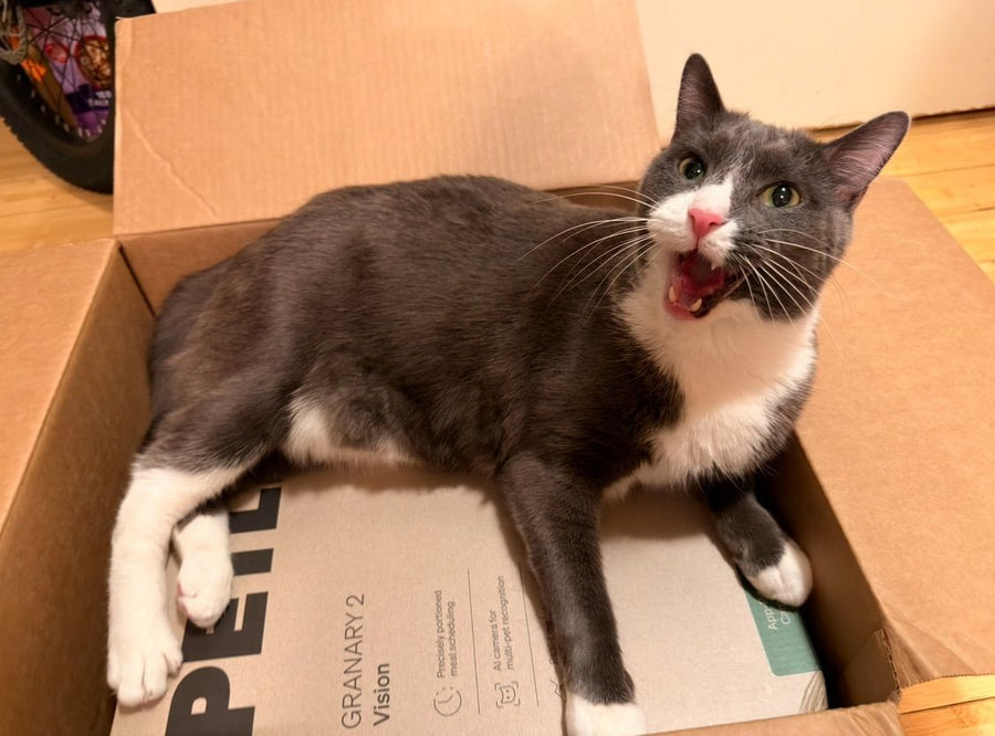 Customer pet hydration photo