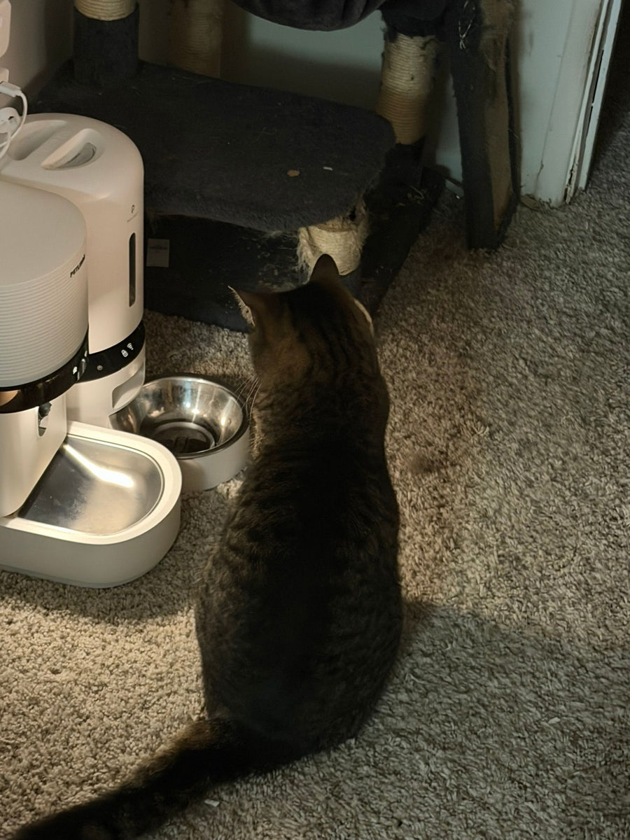 Customer pet hydration photo