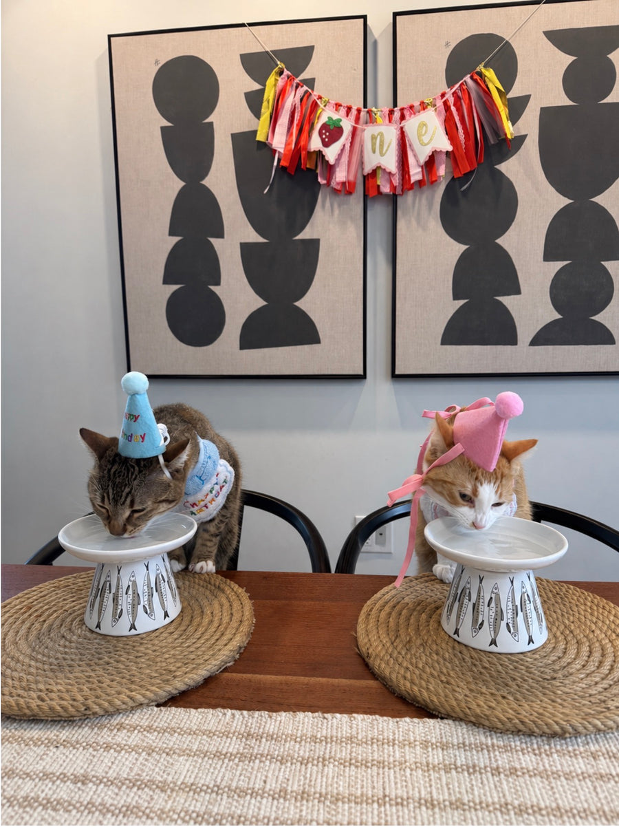 Miso & Sushi