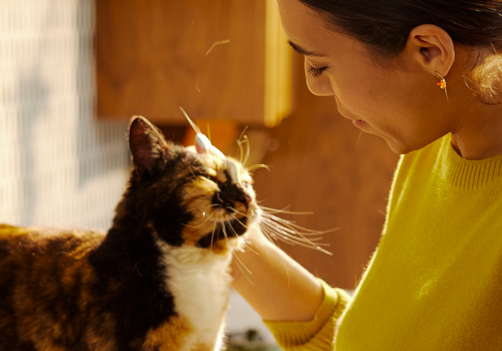 Petlibro Petlibro Luma、Petlibro Luma odor control, luma smart litter box, petlibro litter box, automatic litter box, self cleaning cat litter box, self cleaning litter box, best cat litter box for odor control, best litter box for odor control, litter box deodorizer lifestyle with woman petting calico cat in warm light
