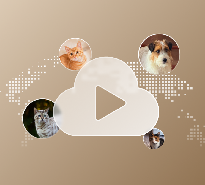 Petlibro digital cloud icon with play button surrounded by circular images of cats and a dog on a beige pixelated world map background