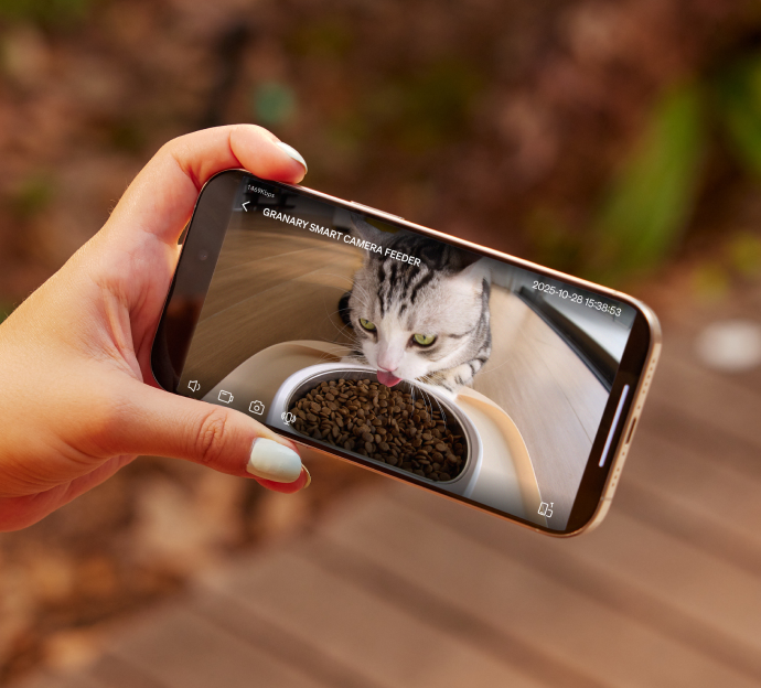 Petlibro smart camera feeder shown on smartphone screen with a gray tabby cat eating dry food from a white bowl