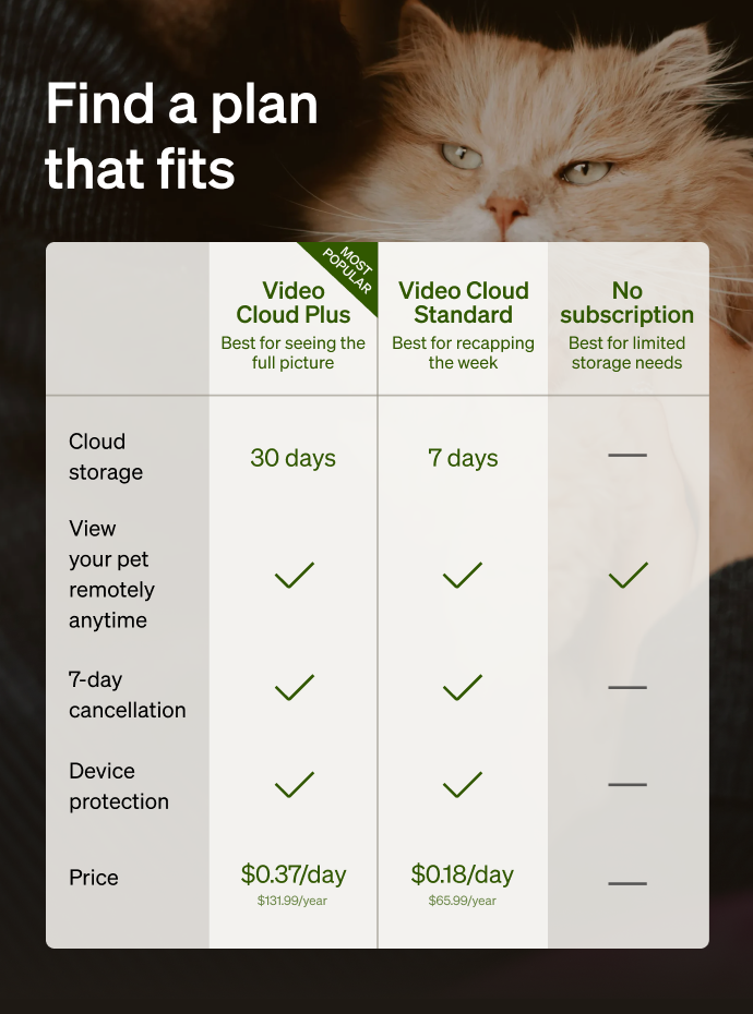 Petlibro Petlibro Luma、Petlibro Luma odor control、luma smart litter box、petlibro litter box、automatic litter box、self cleaning cat litter box、self cleaning litter box、best cat litter box for odor control、best litter box for odor control、litter box deodorizer plan comparison chart over cat photo