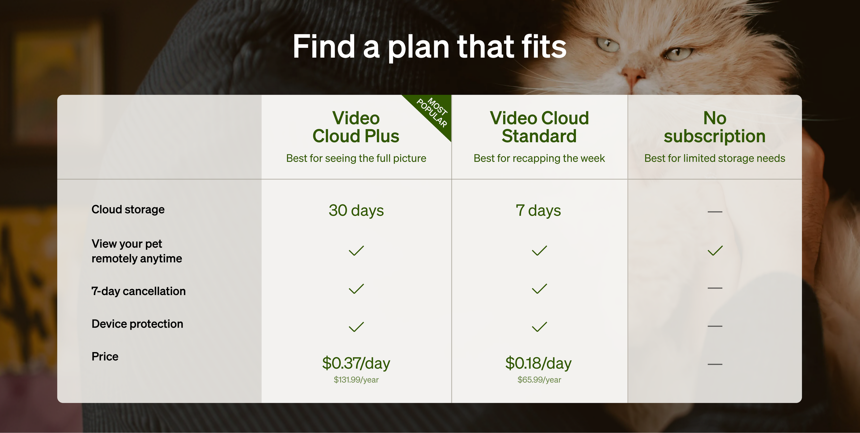 Petlibro pricing table for Video Cloud Plus, Video Cloud Standard, and No subscription plans over a cat background
