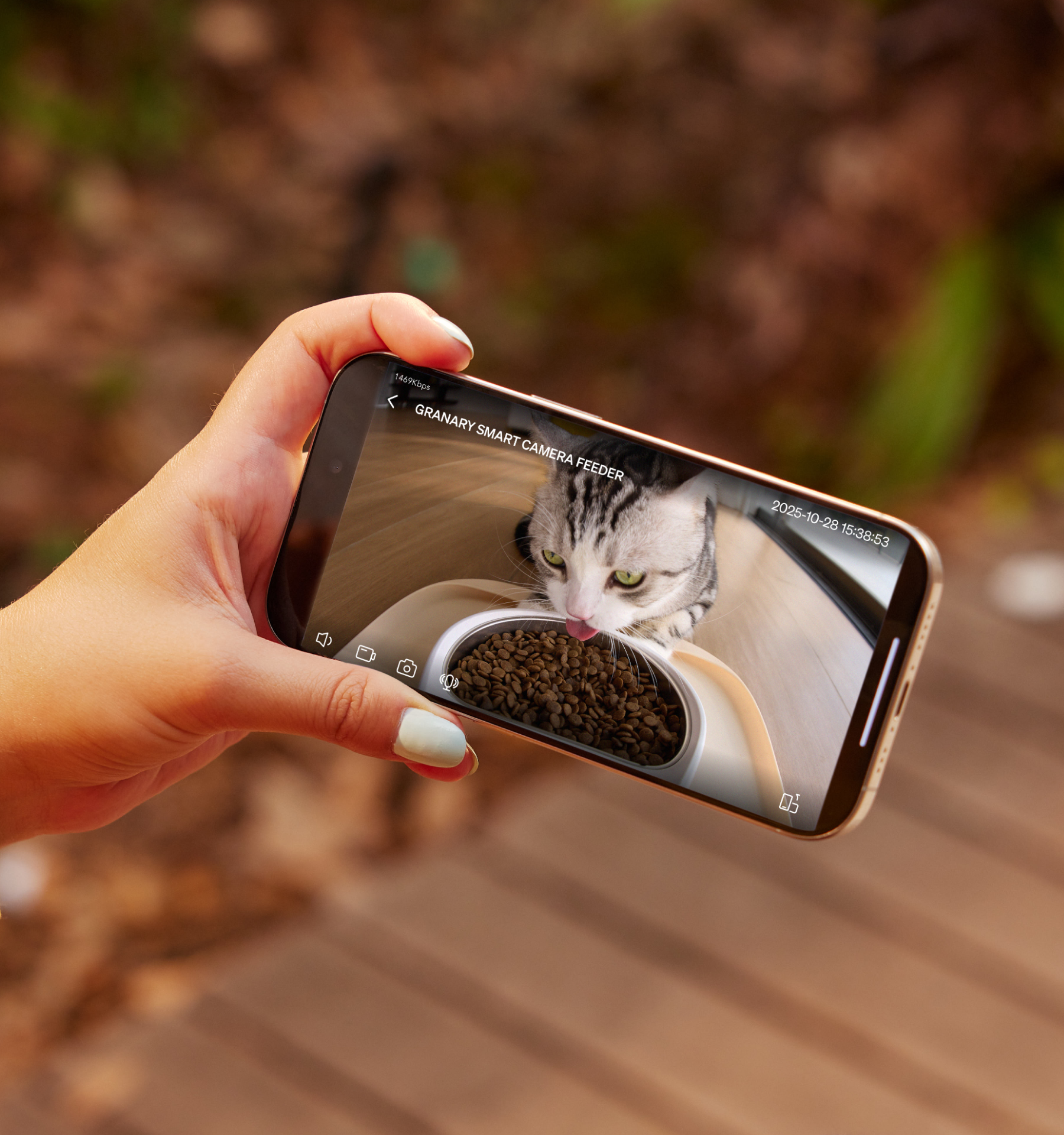 Petlibro smart pet feeder live camera feed on smartphone showing a gray tabby cat eating dry food