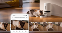 Petlibro smart automatic pet feeder in white with camera monitoring a cat eating dry food in a living room setting