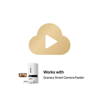 Petlibro white automatic pet feeder with food storage, bowl, and smartphone video monitoring feature