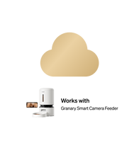 Petlibro white automatic pet feeder with food storage container and smartphone monitoring camera