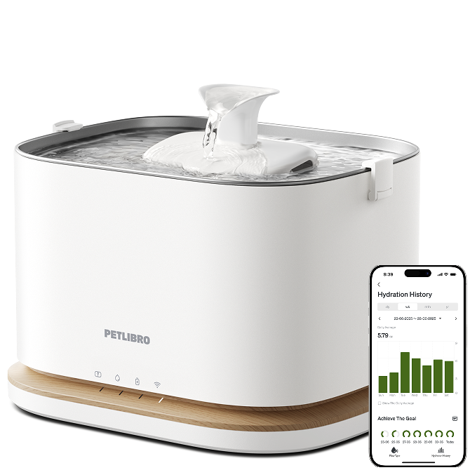 Dockstream 2 Smart Fountain - PETLIBRO