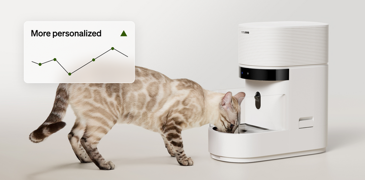 Petlibro rfid cat feeder for multiple cats, white smart cat feeder with camera; cat eating for portion control and proof of feeding, reliable wifi cat feeder PDP Blog Guide Comparison FAQ Video Support