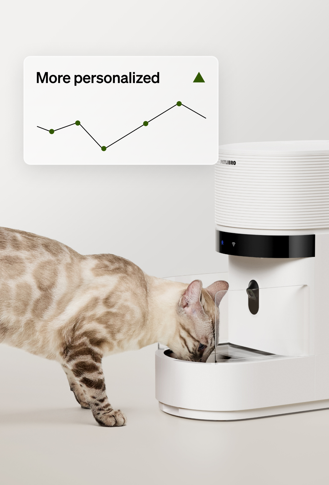 Petlibro reliable wifi smart cat feeder with camera and portion control; cat eating; how to know if my cat ate PDP Blog Guide FAQ Video