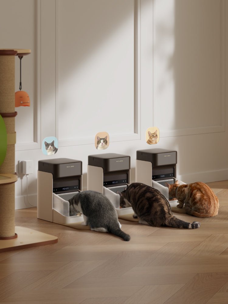 自動給餌器PETLIBRO ONE RFID Smart Feeder Petlibro One RFID Smart Feeder