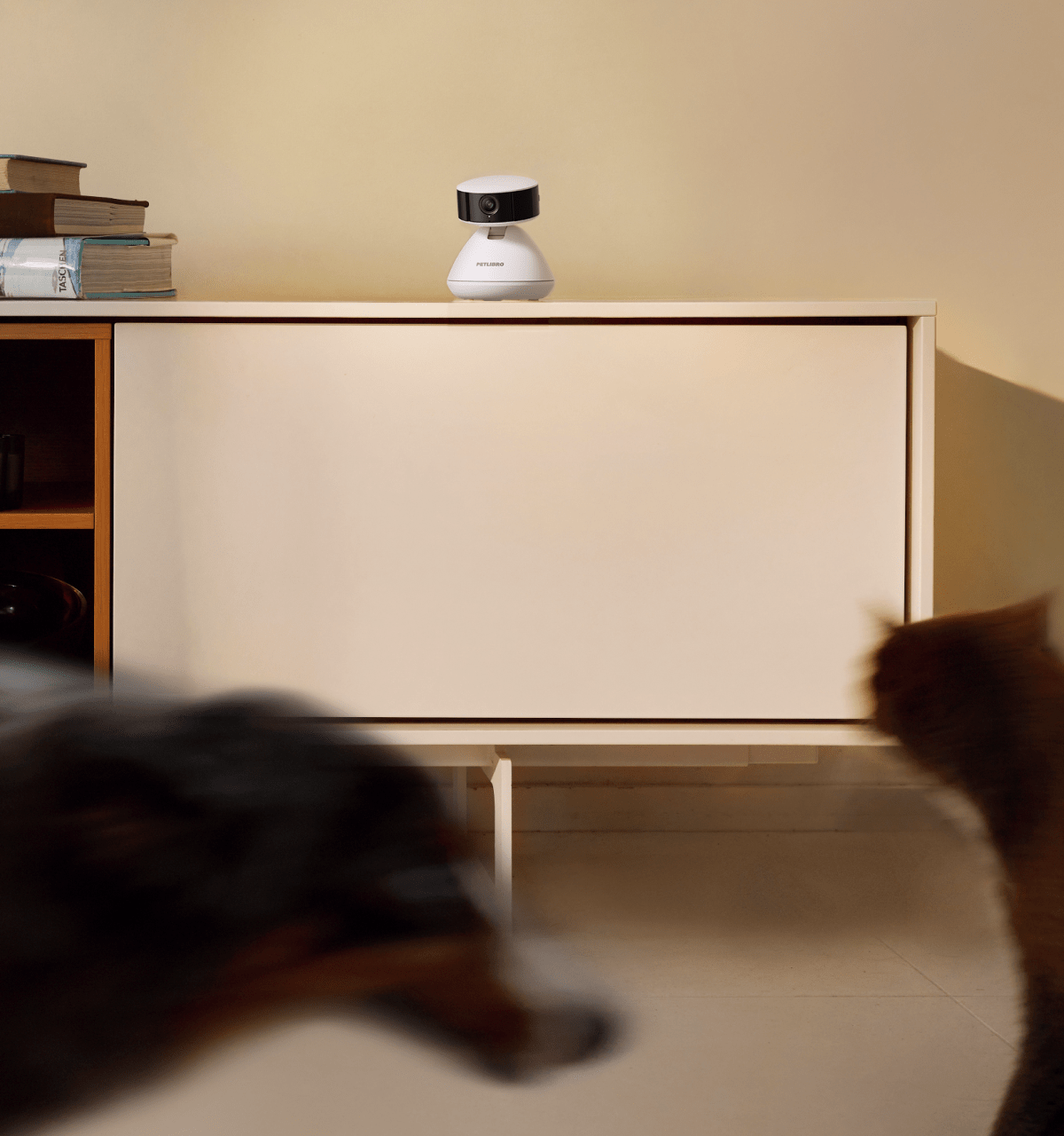 Camera Bundles - PETLIBRO